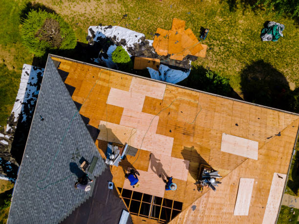 Best Roof Gutter Cleaning  in Wheaton, MN